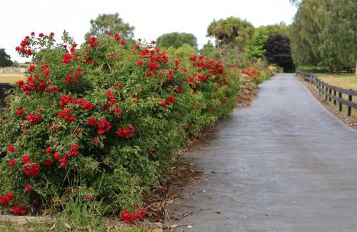 Kaiapoi House | Silverstream Alpaca Farmstay & Tour
