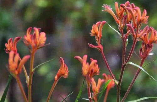 Otford Bed & Breakfast | Silvia's Bed & Breakfast