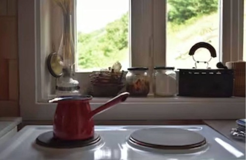 Beserovina Apartment | Sima's house on the slopes of Tara - view of the Drina valley