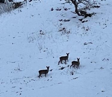 Skipton Apartment | Simon’s Seat View