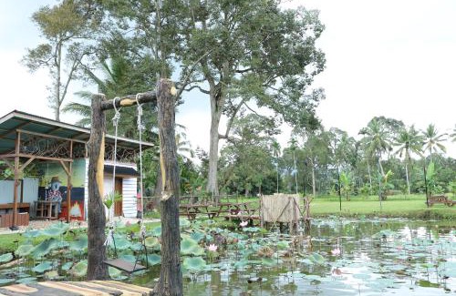 Harau House | Simpang 4 Homestay
