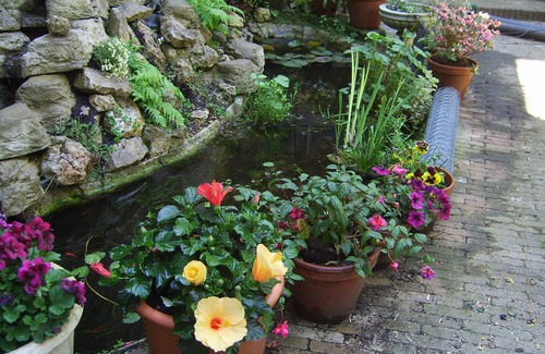 De Weteringschans Apartment | Simpel,nonsmoking canal street-level for 2. Private entrance nice garden,CENTRE