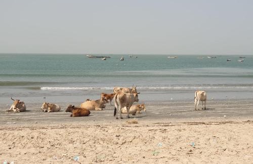 Tanji House | Simple Life on Baobab Beach