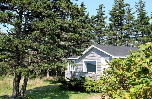 Yarmouth County Cottage | Simple Rustic Cottage