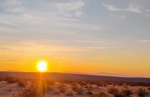Joshua Tree Other | Simply Camping