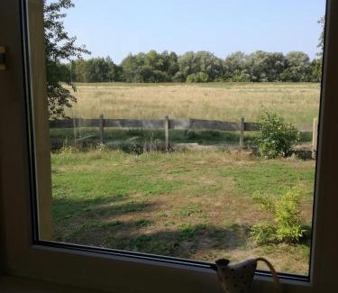 Pruchten Apartment | Sina