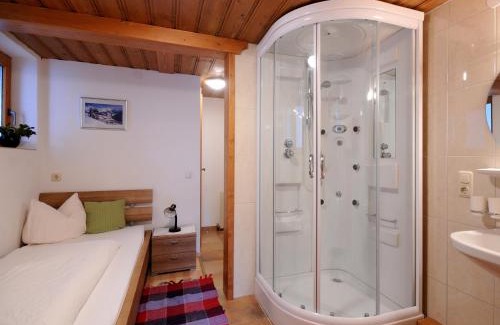 Vorderlanersbach Apartment | Single Apartment Martlerhof