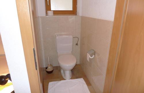 Vorderlanersbach Apartment | Single Apartment Martlerhof