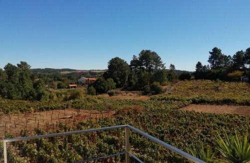 Vila Real House | Single House