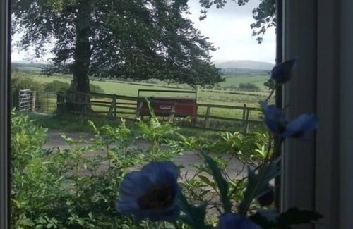 Mauchline Other | Single Room at Dykefield Farm B&B