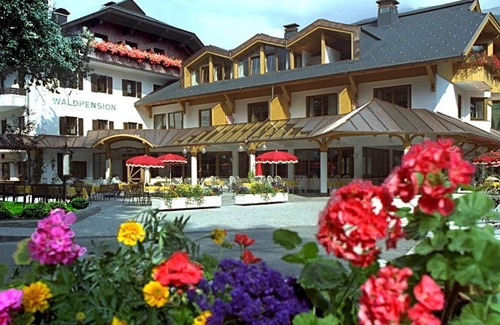 Berg im Drautal Apartment | Single room - Waldpension Putz