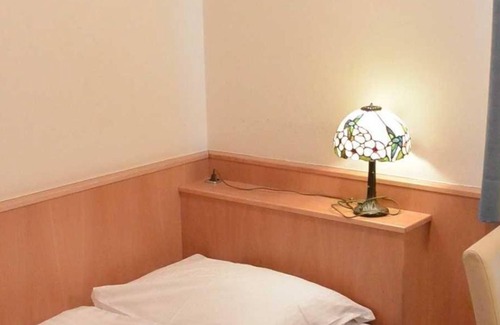 Elisabeth-Vorstadt Bed & Breakfast | Single room with shower, toilet - Adlerhof, pension