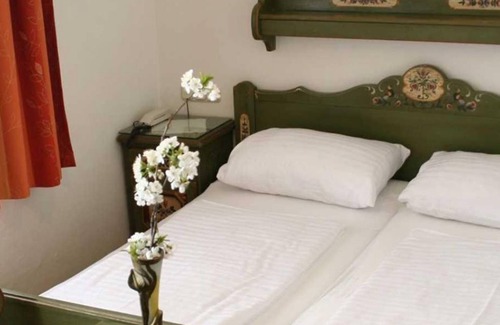 Elisabeth-Vorstadt Bed & Breakfast | Single room with shower, toilet - Adlerhof, pension