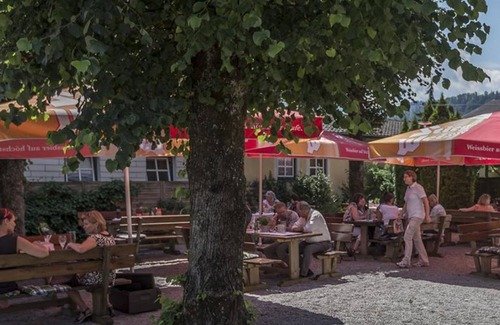 Oberalm Cottage | Single room with shower, WC - Angerer, Inn