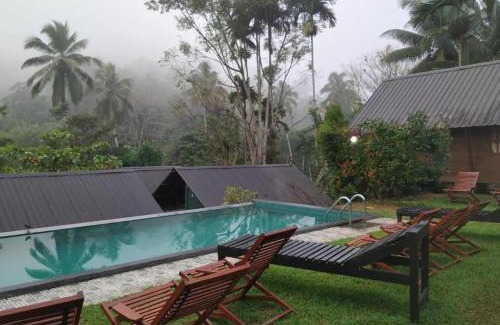 Kotapola Cabin | Sinharaja Forest Sanctuary
