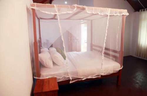 Kotapola Cabin | Sinharaja Forest Sanctuary