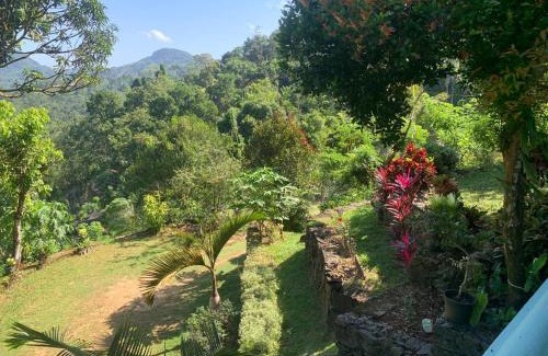 Yattapatha Hotel | Sinharaja Holiday Bungalow
