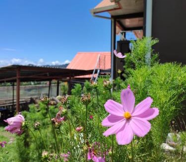 Kundasang House | Sinurambi 2