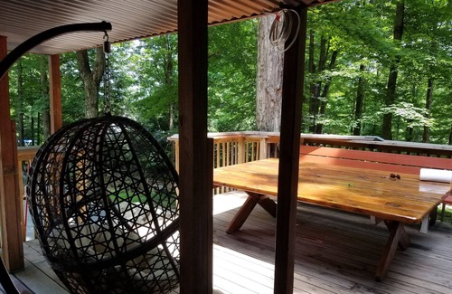 Greentown House | Sip your coffee in the forest. House close to Wallenpaupack Lake!