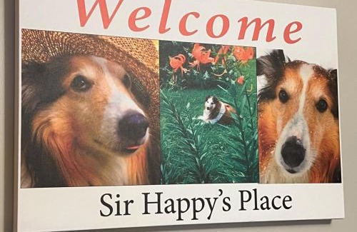 Leadsville House | Sir Happy's Place