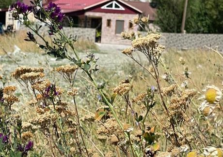 Gusanagyugh House | Sis Guest House