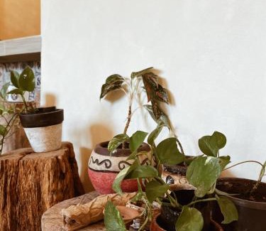 Chichen Itza - Valladolid Apartment | Sisal Loft Living