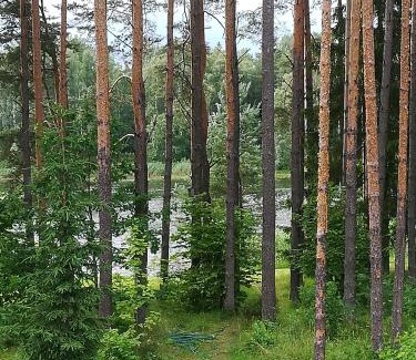 Noo Parish Apartment | Sisaliku Puhkemaja saunaga