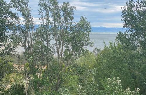 Grado Pineta Apartment | Sisters'House