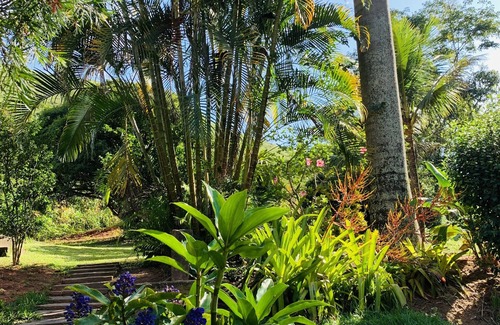 Areal House | Site with 3 bedrooms and pool. Complete place for family and friends.