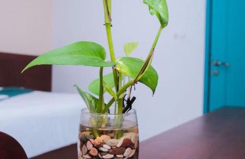 Patrang Hotel | Siti Hotel & Homestay