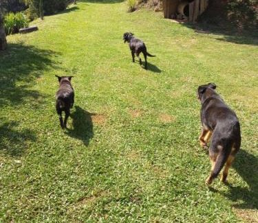 Ibiuna House | Sitio cantinho dos fischer