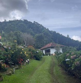 Sao Pedro da Serra House | Sitio com piscina natural e cascata, com linda vista em Lumiar.