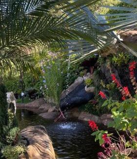 Sao Pedro da Serra House | Sitio com piscina natural e cascata, com linda vista em Lumiar.