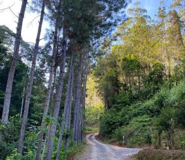 Nova Trento Apartment | Sitio do Marinho em Nova Trento