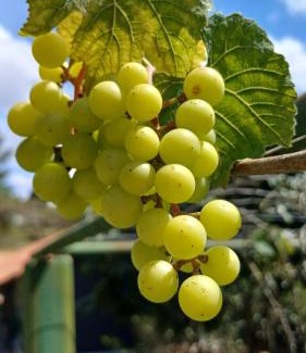 Miguel Pereira Villa | Sitio esperança