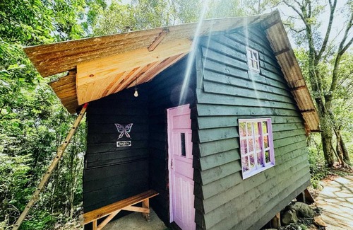 Morro Reuter House | Sitio Holistico Natureza Sanadora