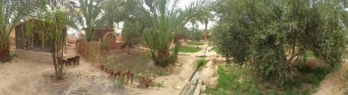 Siwa Other | siwa gardenia cottage
