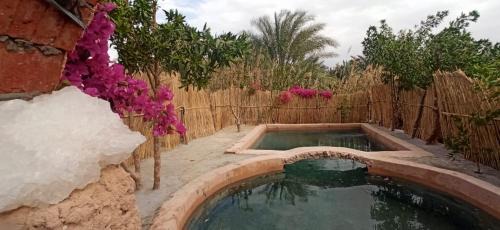 Siwa Other | siwa gardenia cottage