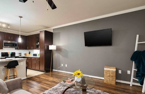 Wetmore Apartment | SixFlags/RIM/LaCantera/Shopping/TheDominion/RestaurantsNearby