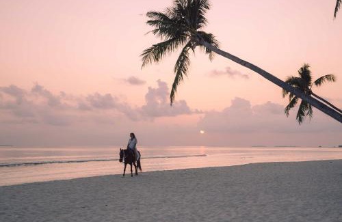 Dhigurah Resort | Siyam World Maldives - 24-Hour Premium All-inclusive with Free Transfer