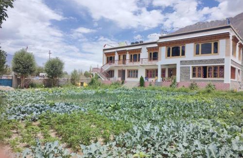 Nubra Valley House | Skayil House