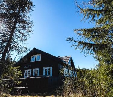 Svingvoll Ski Chalet | Skeikampen cabin with mountain view, jacuzzi, and 8 bedrooms
