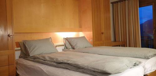 Pany Apartment | Ski fahren-Schneeschuhwandern-Langlauf inkl Hallenbad