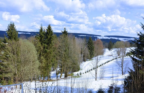 Schnett House | Ski & Hiking Forest Stay