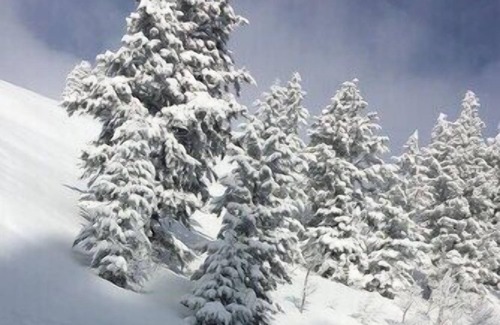 Powder Mountain Cabin | Ski in/out Powder Mountain Columbine Inn 101