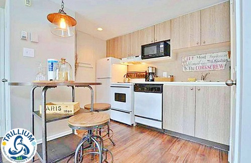 Craigleith Condo | Ski-in/Ski-out Cozy Studio at North Creek Resort