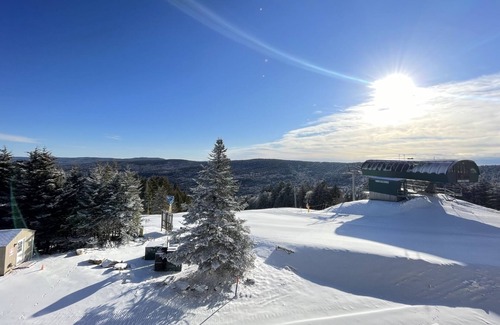 Snowshoe Condo | SKI IN, SKI OUT! Amazing Views. Park the car and don’t drive again.