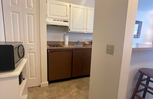 Hancock Condo | Ski In & Ski Out - Deluxe 1 Bedroom Condo Sleeps 5
