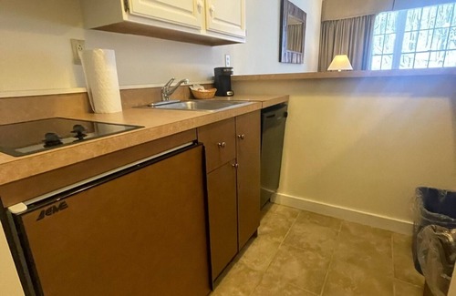 Hancock Condo | Ski In & Ski Out - Deluxe 1 Bedroom Condo Sleeps 5