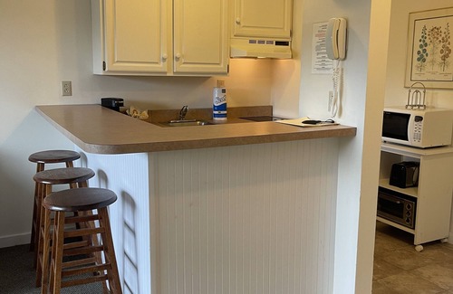 Hancock Condo | Ski In & Ski Out - Deluxe 1 Bedroom Condo Sleeps 5